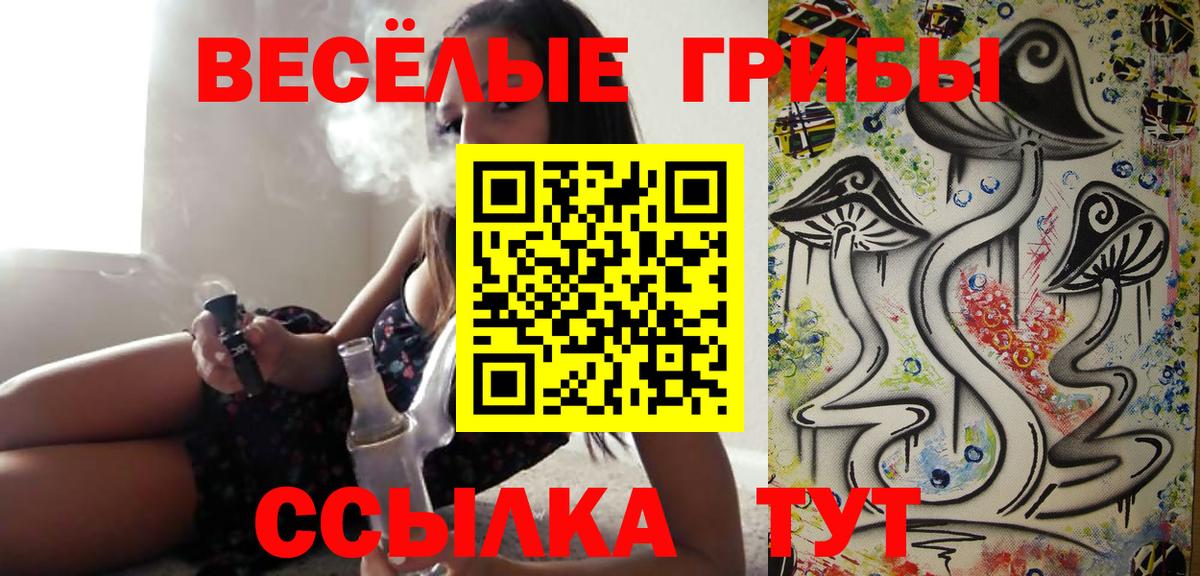 Псилоцибиновые грибы Psilocybine cubensis Люберцы